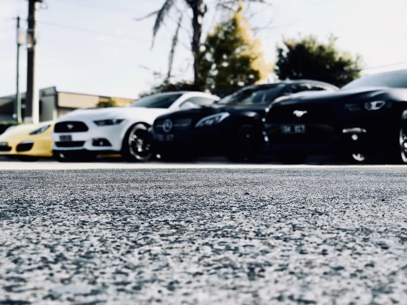 Exotic Car Travels Exotic Car Travels