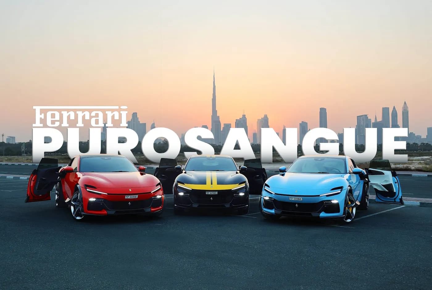 POF Rental POF Rental