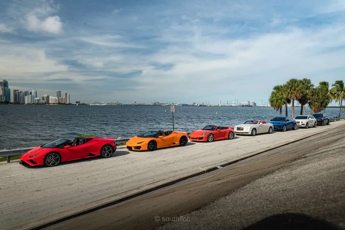 Panda Exotic Car Rental