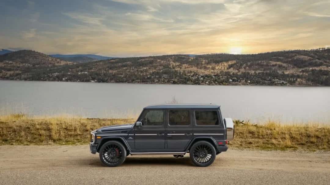 West K Exotics