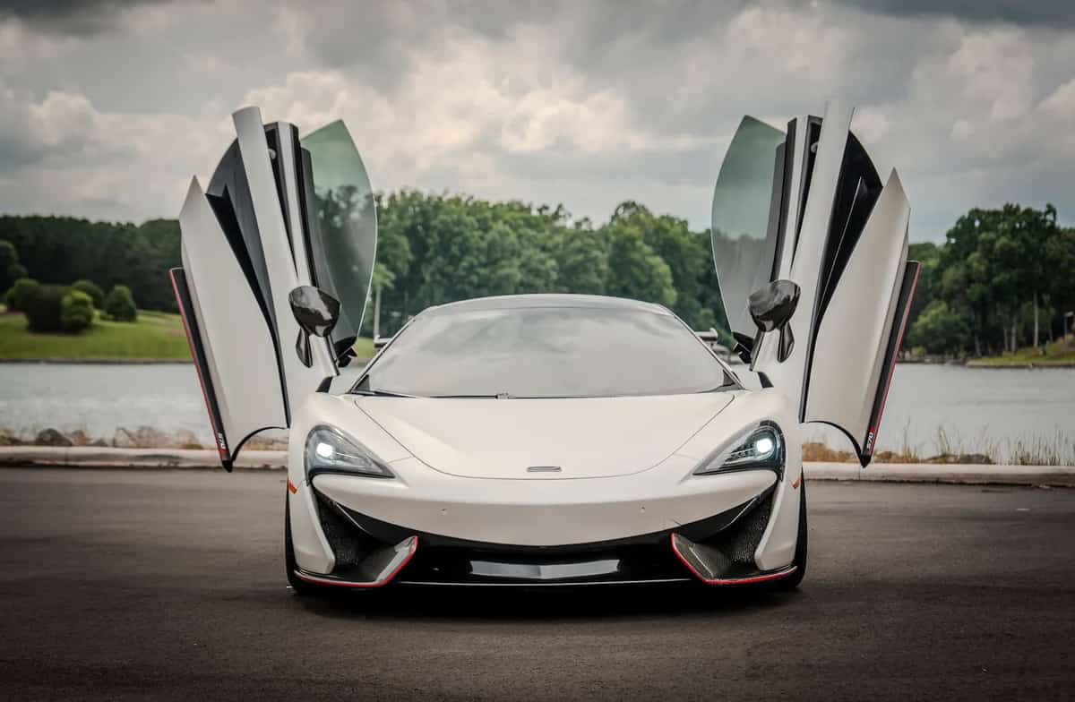 Charlotte Exotic