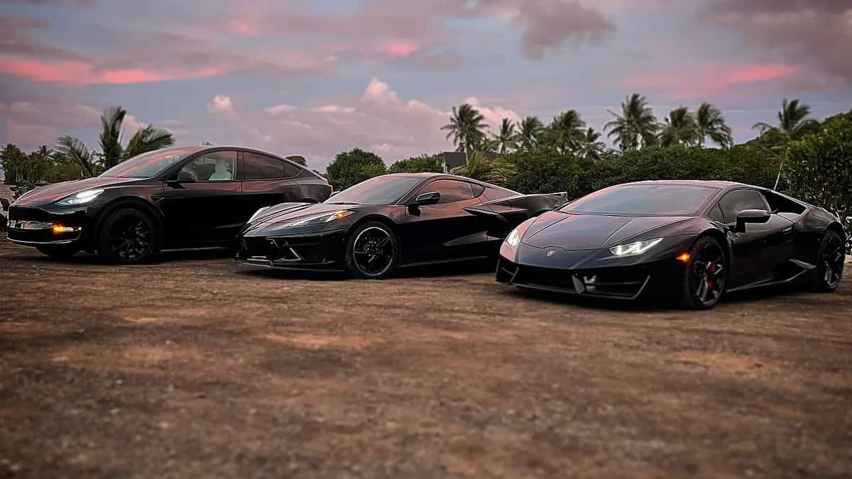 Honolulu Exotics