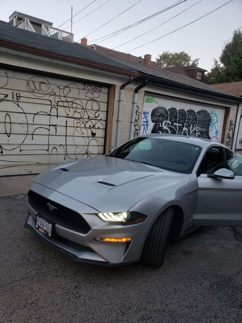 ALPHA Car Rental