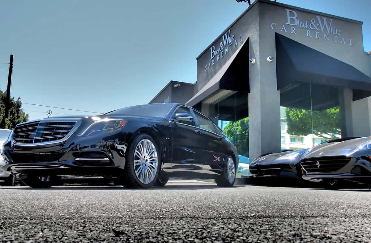 Black and White Car Rental cover