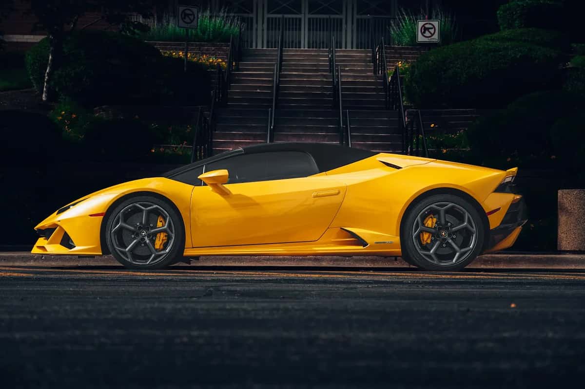 Next LVL Exotics cover