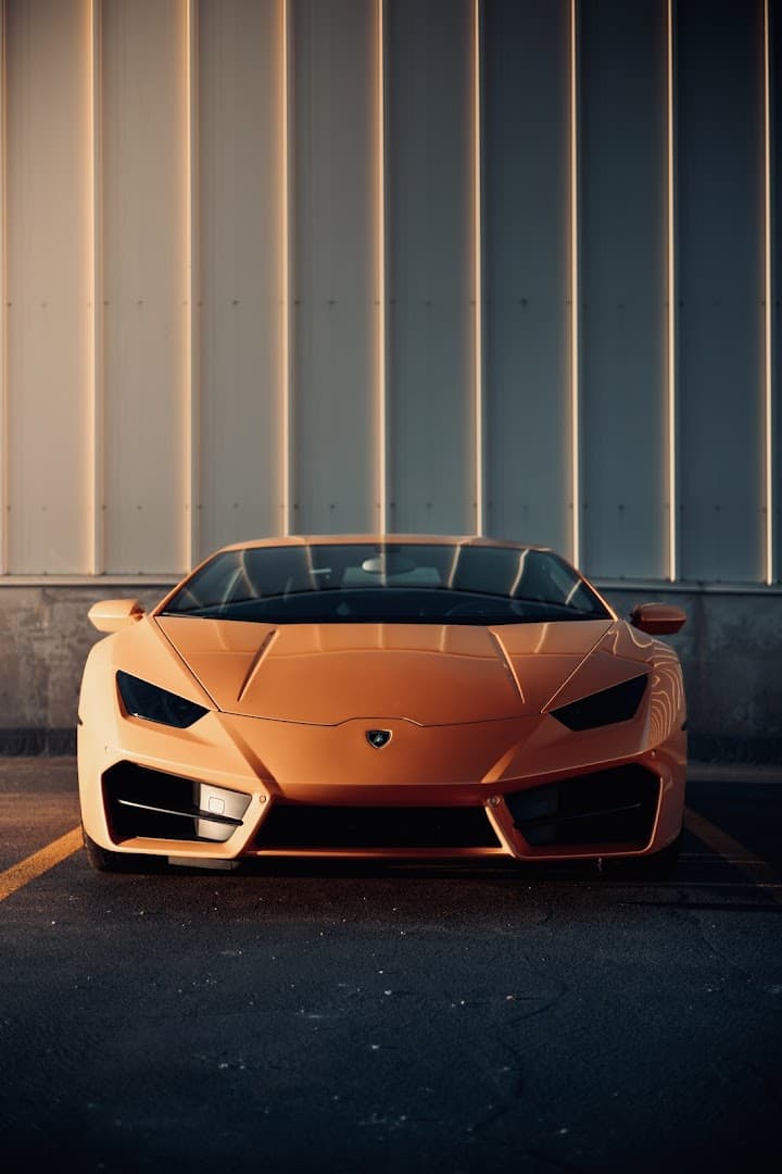 Lux Exotic Rentals Lux Exotic Rentals